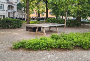 Plac Asnyka Poznań