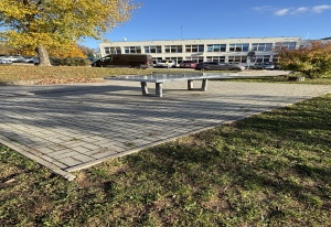 Bocianek kielce